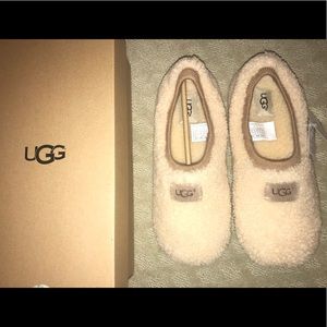 Ugg Slippers